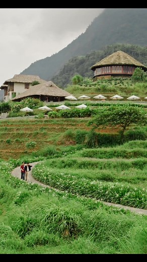 Trải Nghiệm Topas Ecolodge ở Sapa: Vlog Đáng Yêu của Ninh Dương Story