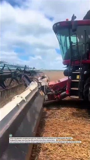 Massive Soybean Combine Harvesting Power in Action 🚜🌾 #CombineHarvester #FarmingTech #AgriMachines