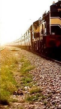 Choo Choo Train Adventure 🚂 | Fun Learning Video for Kids About Trains! #kidtory #preschoollearning