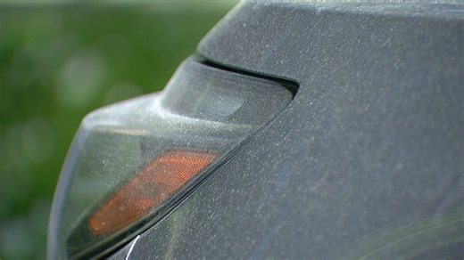 Spring allergies are back. Here's how to check pollen levels and keep from sneezing