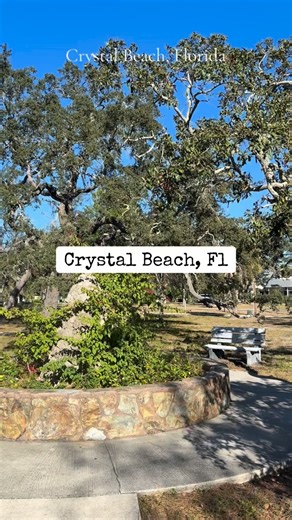 Crystal Beach is one of those rare Florida pockets that feels like a little Gulf-front village instead of a city. Sunsets You Can’t Recover From Crystal Beach Park the little pier = daily sunset therapy. Locals literally walk or golf-cart there every night like it’s a ritual. The vibe is calm, unbothered, and unbelievably beautiful. Pinellas Trail Runs Right Through so Runners, bikers, parents with strollers — anyone who likes moving outside thrives here. You can ride from Crystal Beach all the 