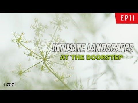 Intimate landscape photography at the doorstep - Nikon D700