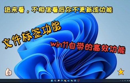 「电脑高效功能更新」win11文件夹多标签整理功能，快 快 快去更新，真香（文件资源管理器 选项卡）
