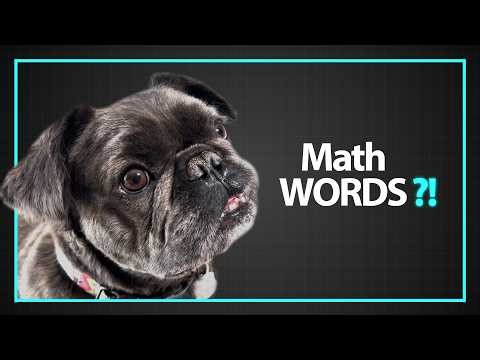 Math Words You NEED to Know