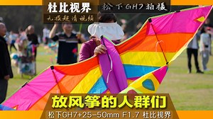放风筝的人群们 杜比视界松下GH7拍摄DG 25-50镜头手持无滤镜 S1R2