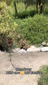 53K views · 1.6K reactions | Broadway mid comparison. Left side Neodymium, right side Ferrite. Anong mas bet niyo mga boss? #Broadwayprofessionalaudioequipment | REC Minisound & Soundworks | Facebook