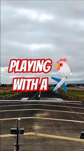 Playing chicken with a plane #airplane #aviation #piper #takeoff #airport