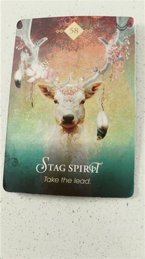 #816 Cancer - Spirit Animal Oracle Message