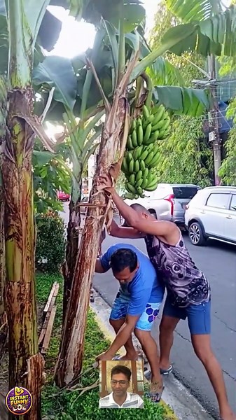 The Greatest Banana Heist! 🍌🤣 #shorts #funny #humanfunny #fail #comedy #viral #india #trending