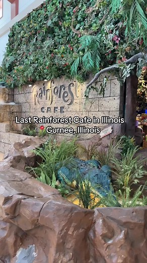 Exploring the Last Rainforest Cafe in Illinois