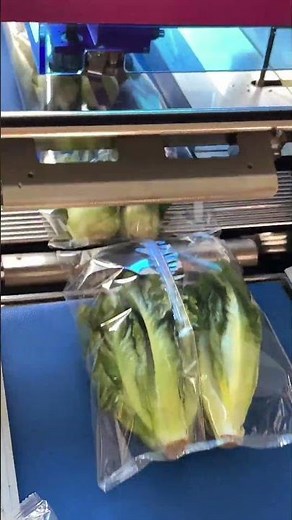 Fully automatic horizontal wrapping flow pack packaging machine fruit and vegetable packing machine