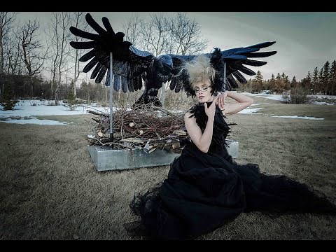 Within the Raven’s Shadow - the Deeper Meaning Behind the 8-Foot Raven Sculpture - Shadow Selves