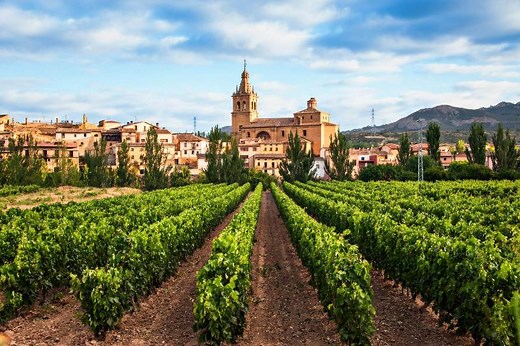 Spanish Wine Regions Map and Varietal Information | LoveToKnow