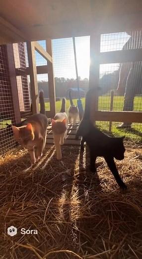 A typical morning in real estate. Howell Properties LLC. | Rick Howell