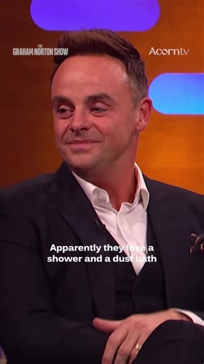 Not only are Ant & Dec best friends, but so are the emus! 🫶 #TheGrahamNortonShow