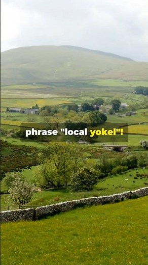 Local Yokel #idioms #phrases #englishexpressions