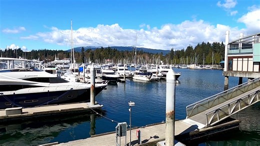 Unforgettable Vancouver: Scenic walking tour from Canada Place to Stanley Park