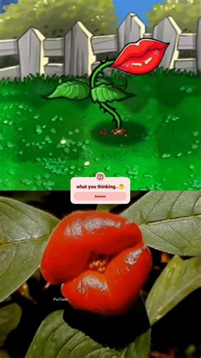 lips plant ☘️ plant vs zombie #pvz #shorts