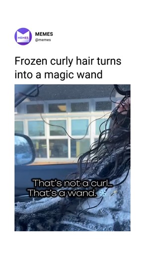 Memes.com on Instagram: "Classic curly hair problems in Canadian Winters⁠ _____⁠ Via: @eva.c.hair"