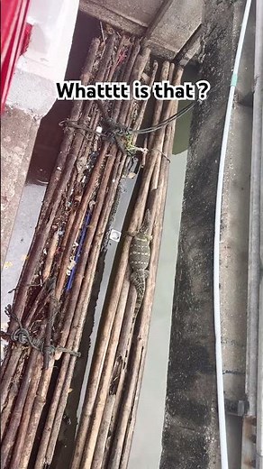 #travel #backpacking #aylaklar #tayland #bangkok