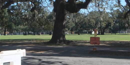 Savannah police withhold video evidence in Forsyth Park acid attack investigation