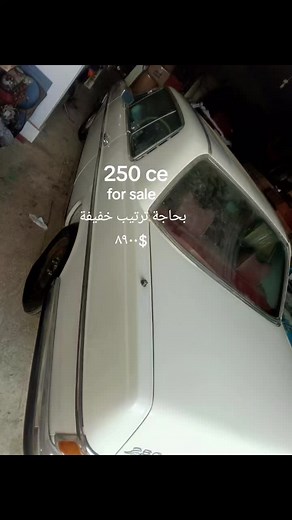 mahmoud saleh على TikTok