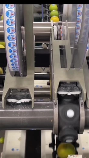 automatic high speed fruit small opp bopp top labeling machine Kiwi labeling machine #thefruitlabel #fruitlabeling #labelfruit #toplabelingmachine
