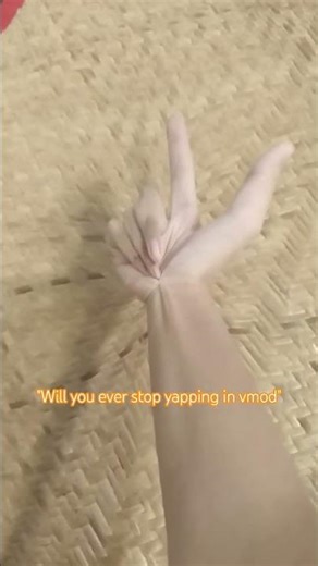 i will never stop yapping in vmod