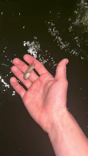 Pool pond episode 12 part 2