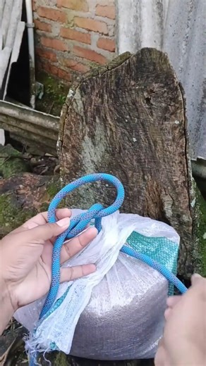 "The Fastest & Most Useful Rope Knot!" #knot #shorts #diy