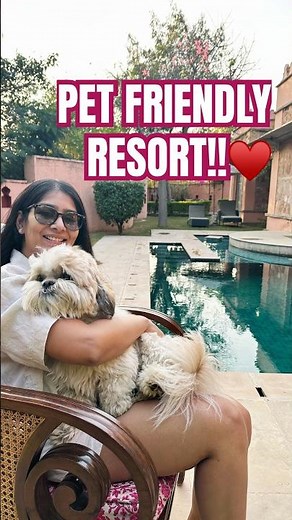 This Pet Friendly Resort Has a Dog Menu! | Private Pool Villa Stay | Tree of Life Resort and Spa 🏨