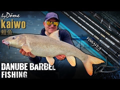 Gábor Döme - Danube barbel fishing on a new basis - Full method presentation