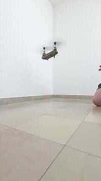 SYMA S026H 2.4G 3CH Tandemrotoren Chinook RC Helikopter Militär #helicopter