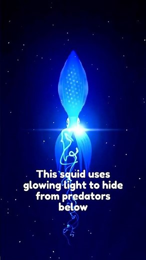 Ocean Animals That Glow in the Dark ✨🌊 #OceanFacts #Bioluminescence #MarineBiology