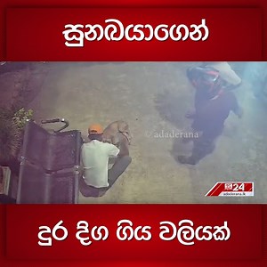 76K views · 423 reactions | සුනඛයාගෙන් දුර දිග ගිය වලියක් #dog #problem | Ada Derana Sinhala | Facebook