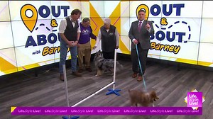 3-18-26- Out & about with Barney