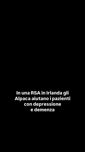 906K views · 1.4K reactions | Gli Alpaca nella residenza per anziani...