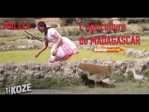 L'agriculture de Madagascar - sur KANAL AUSTRAL.TV