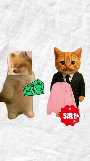 Understanding Girl Math Explained by Cats