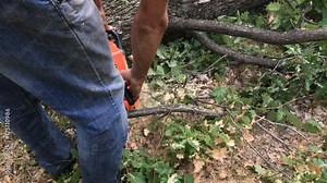Making firewood with a chainsaw footage - Cutting pieces of tree on ground slow-mo video