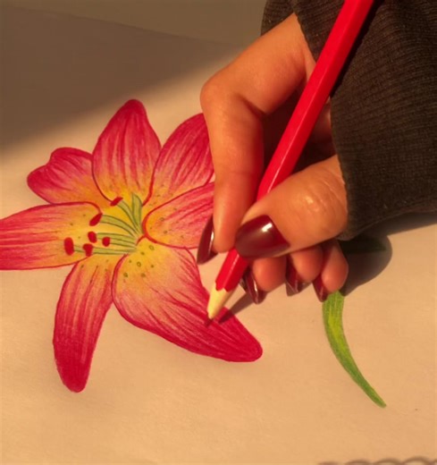 Inspire Your Next Art Creation: Floral Drawing Ideas