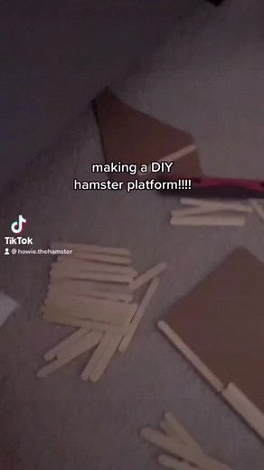DIY Hamster Platform Ideas for Proper Hamster Care