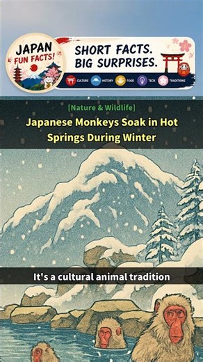 [Japan Facts] Japanese Monkeys Soak in Hot Springs During Winter
