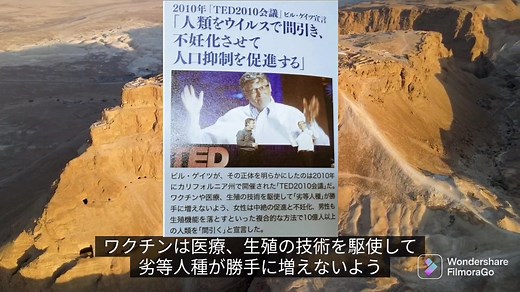 ビル・ゲイツ「人類をウイルスで間引き、不妊化させて人口抑制を促進する」 TED2010