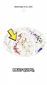 144K views · 4.5K reactions | Scientists found the largest structure in the universe, Quipu. | Cosmoknowledge | Facebook