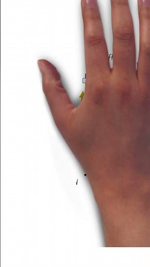 Exhaust Back Pressure Explained