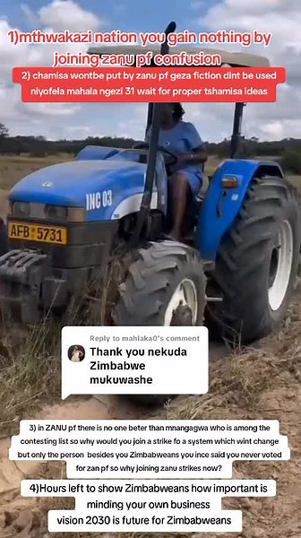 Understanding Zimbabwe's Vision 2030 for Farmers