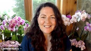 96 reactions · 6 comments | Have you ever had the opportunity to...