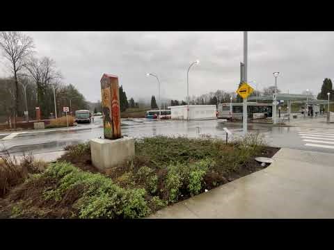 Burnaby TransLink 2009 NFI DE60LFR B8147 Circling Phibbs Exchange