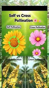 self pollination vs cross pollination